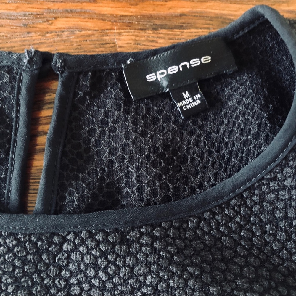 Spense Sleeveless Sheath Top